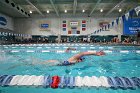 Swim vs Bentley  Wheaton College Swimming & Diving vs Bentley University. - Photo by Keith Nordstrom : Wheaton, Swimming & Diving